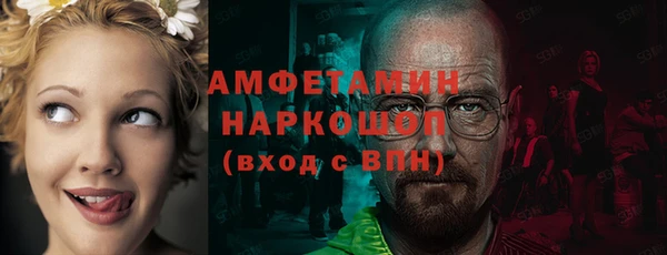 сатива Зеленокумск