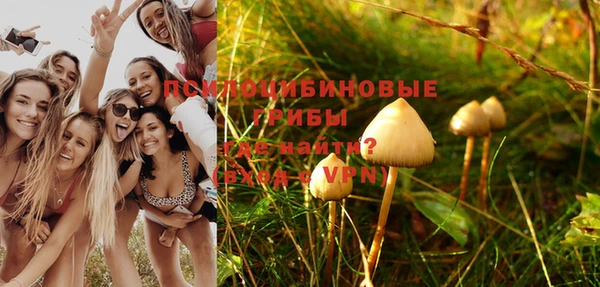 сатива Зеленокумск