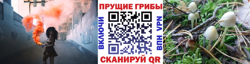 Псилоцибиновые грибы GOLDEN TEACHER  Купить где  Бокситогорск 